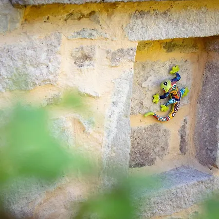 Maison De La Salamandre Apartmán Ribes