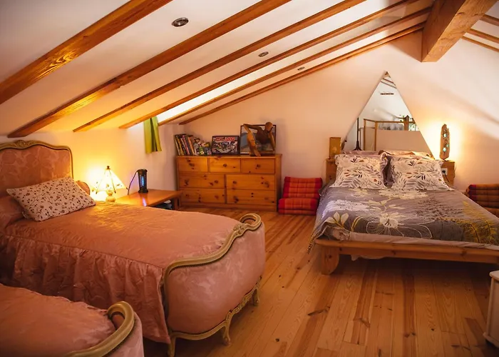 Maison De La Salamandre Apartment